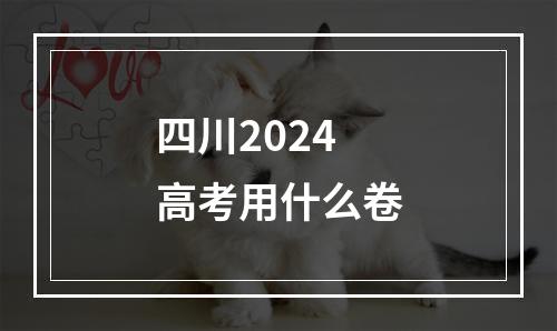 四川2024高考用什么卷