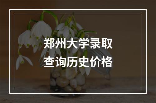 郑州大学录取查询历史价格