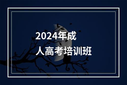 2024年成人高考培训班