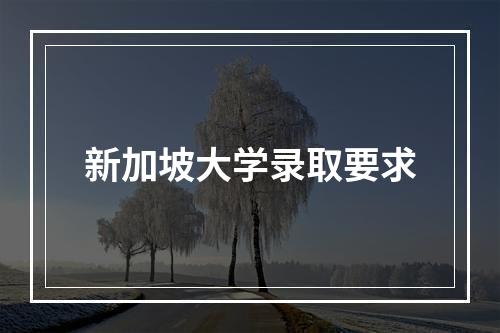 新加坡大学录取要求