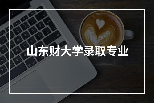 山东财大学录取专业