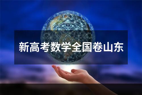 新高考数学全国卷山东