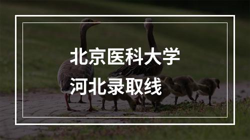 北京医科大学河北录取线