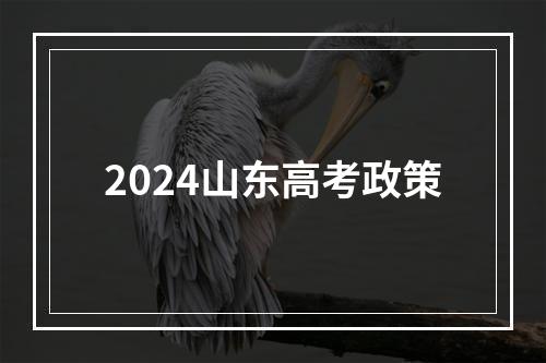 2024山东高考政策