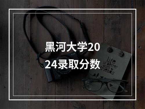 黑河大学2024录取分数