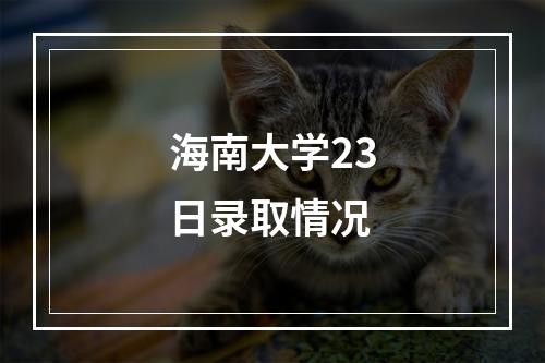 海南大学23日录取情况