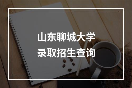 山东聊城大学录取招生查询