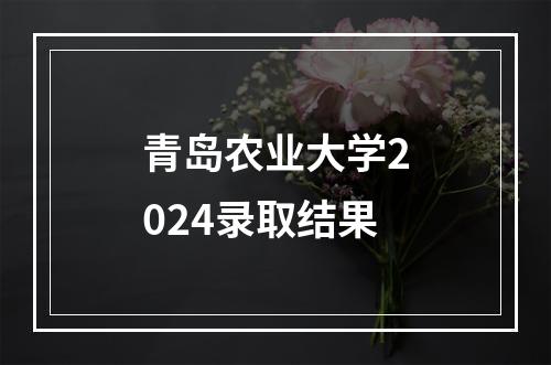 青岛农业大学2024录取结果