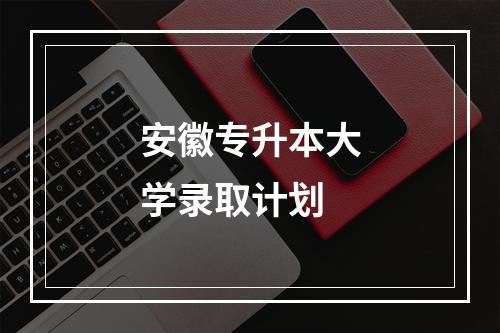 安徽专升本大学录取计划