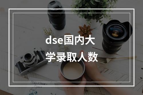 dse国内大学录取人数