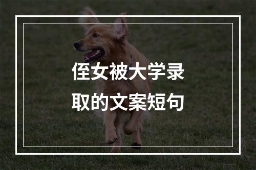 侄女被大学录取的文案短句