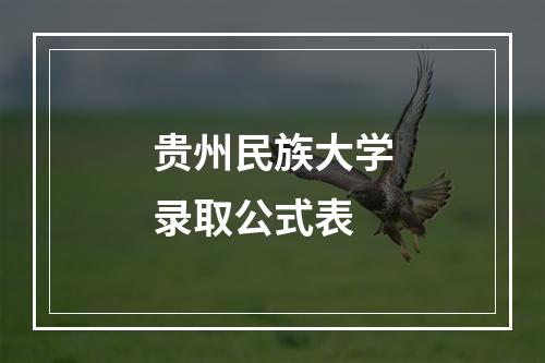 贵州民族大学录取公式表