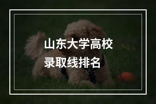 山东大学高校录取线排名