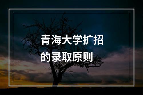 青海大学扩招的录取原则