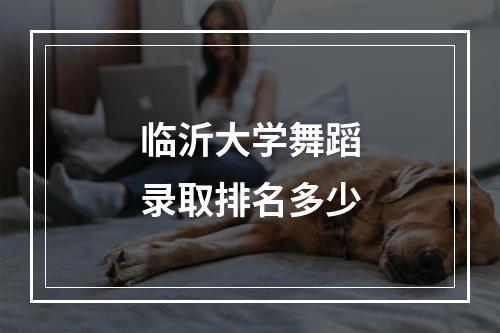 临沂大学舞蹈录取排名多少