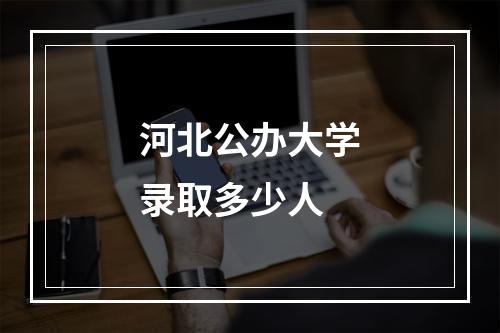 河北公办大学录取多少人