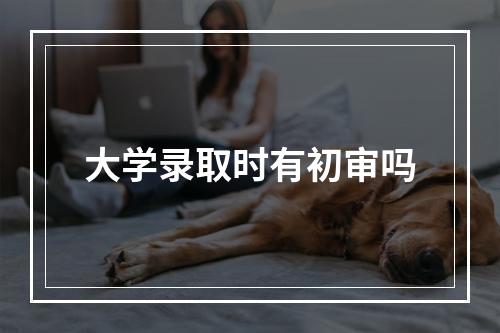 大学录取时有初审吗