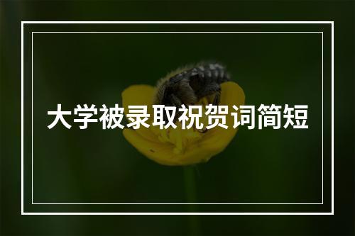 大学被录取祝贺词简短