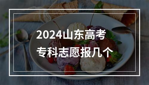 2024山东高考专科志愿报几个