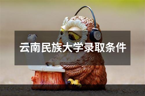 云南民族大学录取条件