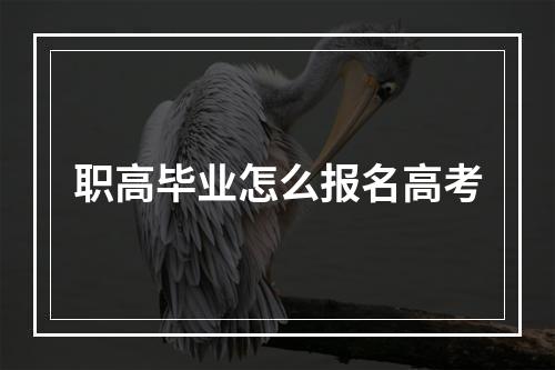 职高毕业怎么报名高考