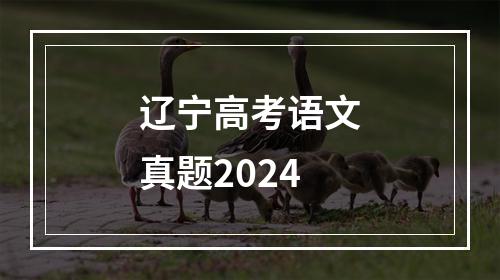 辽宁高考语文真题2024