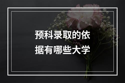 预科录取的依据有哪些大学