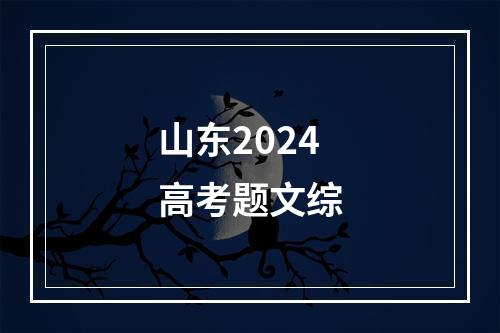 山东2024高考题文综