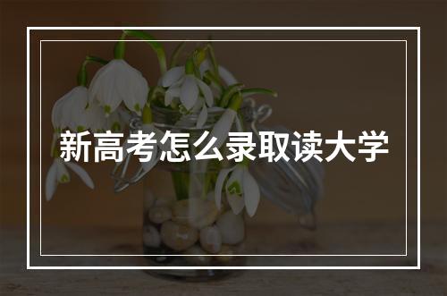 新高考怎么录取读大学