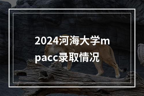 2024河海大学mpacc录取情况