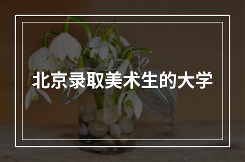 北京录取美术生的大学