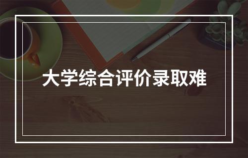 大学综合评价录取难