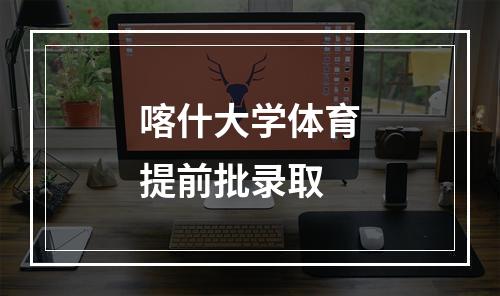 喀什大学体育提前批录取