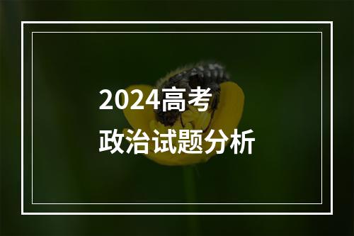 2024高考政治试题分析