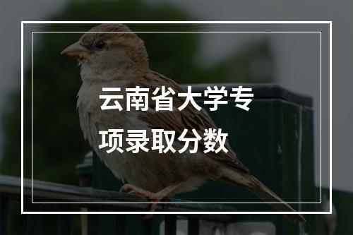 云南省大学专项录取分数