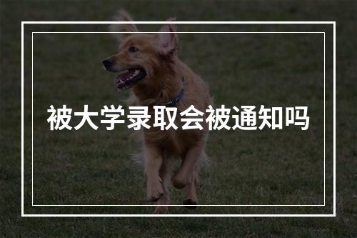 被大学录取会被通知吗