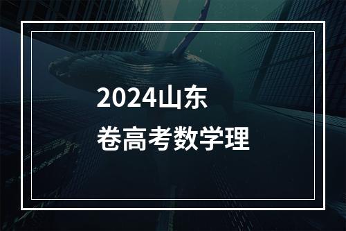 2024山东卷高考数学理