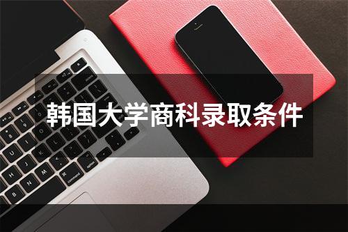 韩国大学商科录取条件