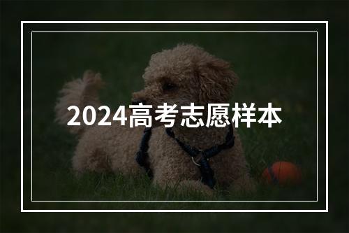 2024高考志愿样本