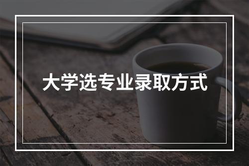 大学选专业录取方式