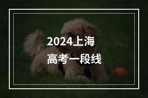 2024上海高考一段线