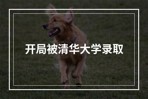 开局被清华大学录取