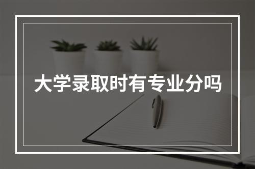 大学录取时有专业分吗