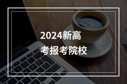 2024新高考报考院校