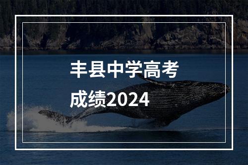 丰县中学高考成绩2024