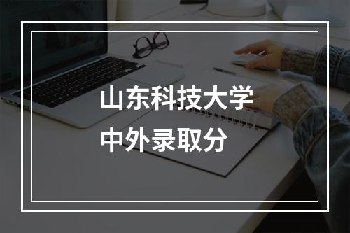 山东科技大学中外录取分