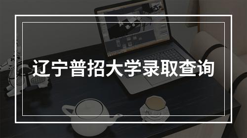 辽宁普招大学录取查询