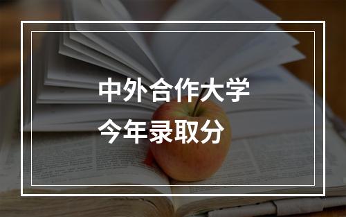 中外合作大学今年录取分