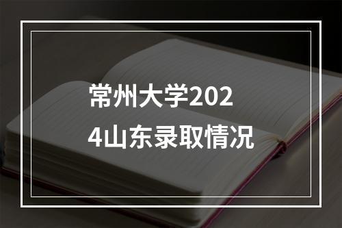 常州大学2024山东录取情况