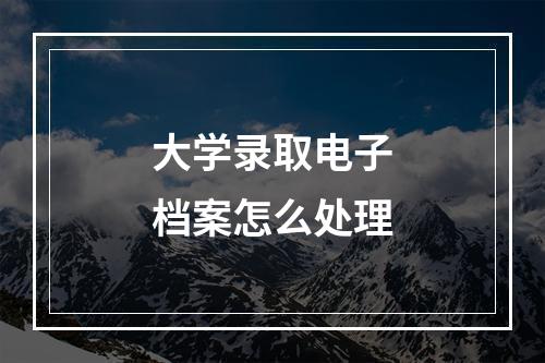 大学录取电子档案怎么处理